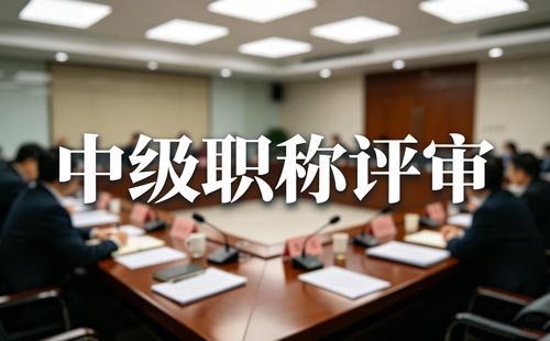 职称审核备案表
